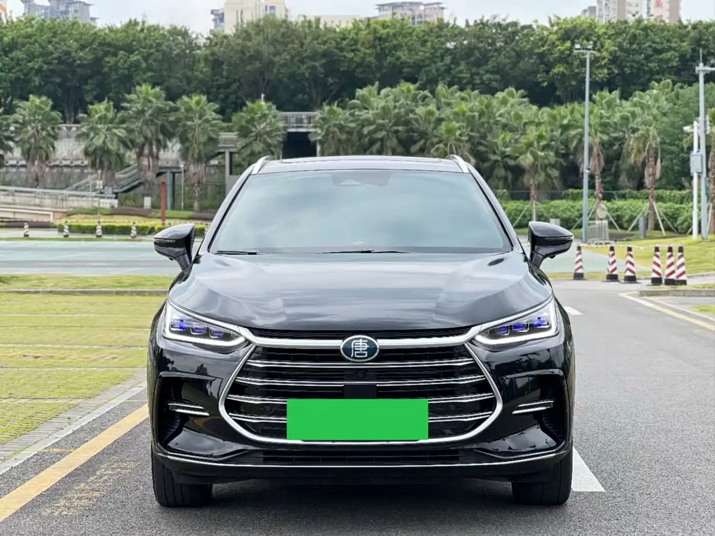 BYD Tang New Energy 2023 Model DM-i Champion Edition 112KM Honor фото 2