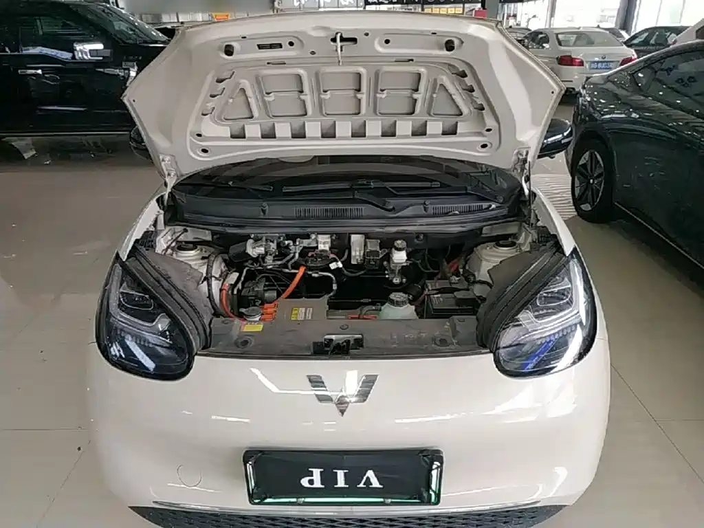 Фото 20 - Wuling Motors Wuling Bingo