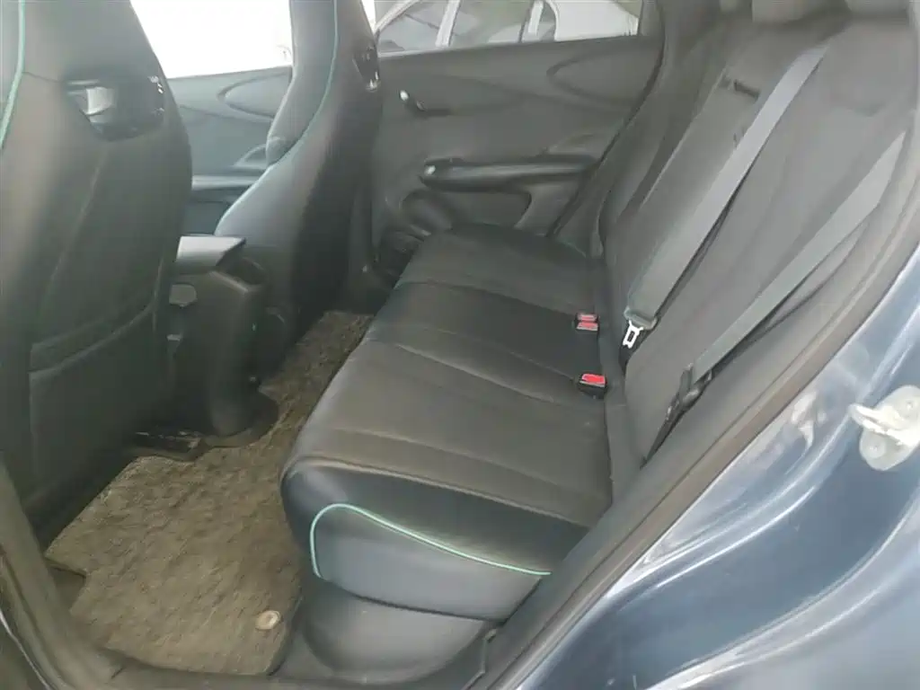 BYD Dolphin 2024 Glory Edition 420km Fashion Edition фото 13