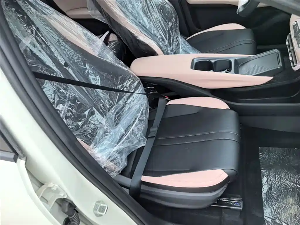BYD Seagull 2025 Smart Drive Edition 305km Vitality Version фото 25