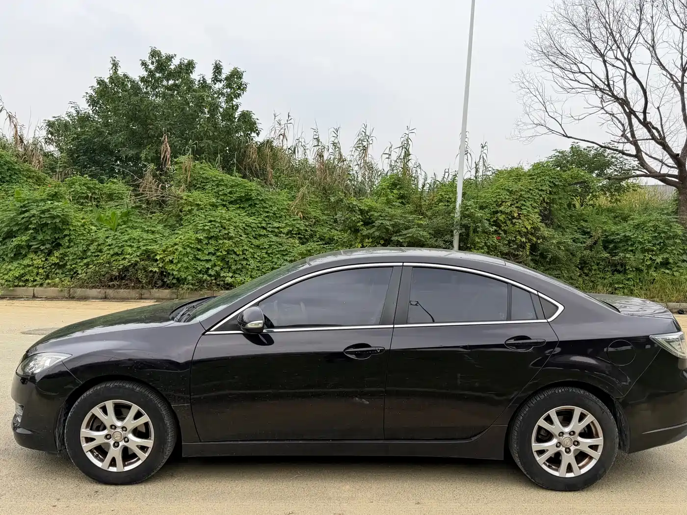 Mazda Ruiyi 2015 2015 2.0L Automatic Elite