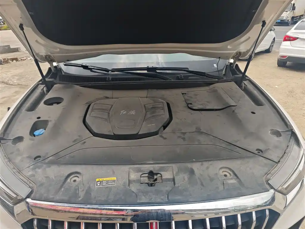 Hongqi HS5 2019 2.0T Smart Connect Enjoy Edition фото 16