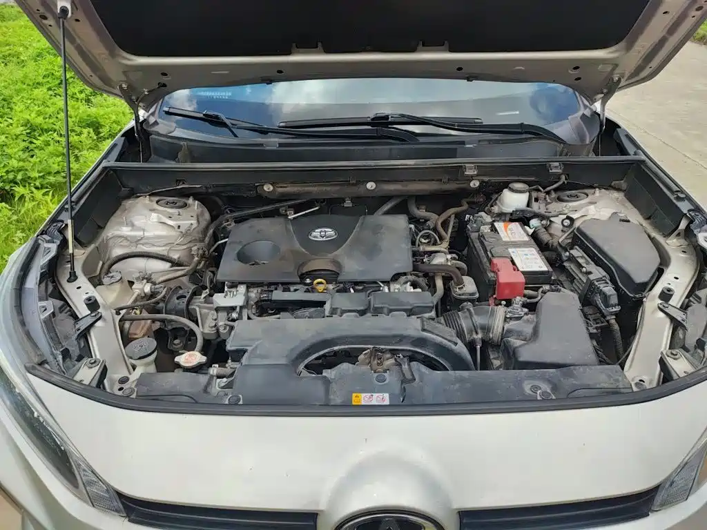 Toyota Wildlander 2020 2020 2.0L CVT AWD Luxury Edition