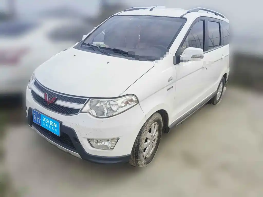 صورة 1 - Wuling Motors Wuling Hongguang