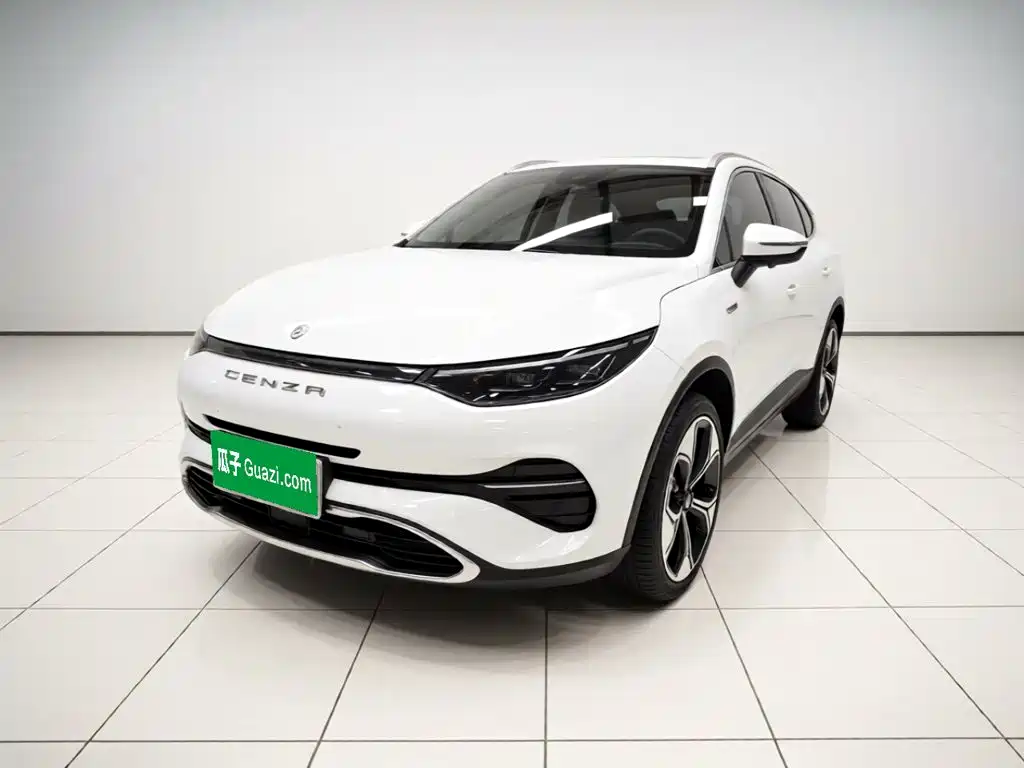 Denza X 2021 2020 Model PHEV Flagship Edition