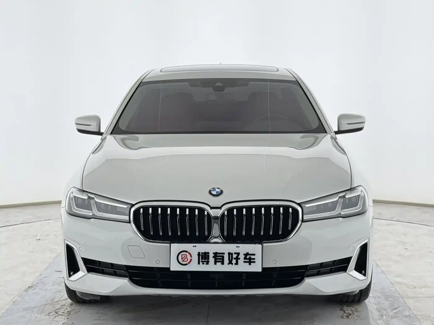 BMW 5 SERIES NEW ENERGY