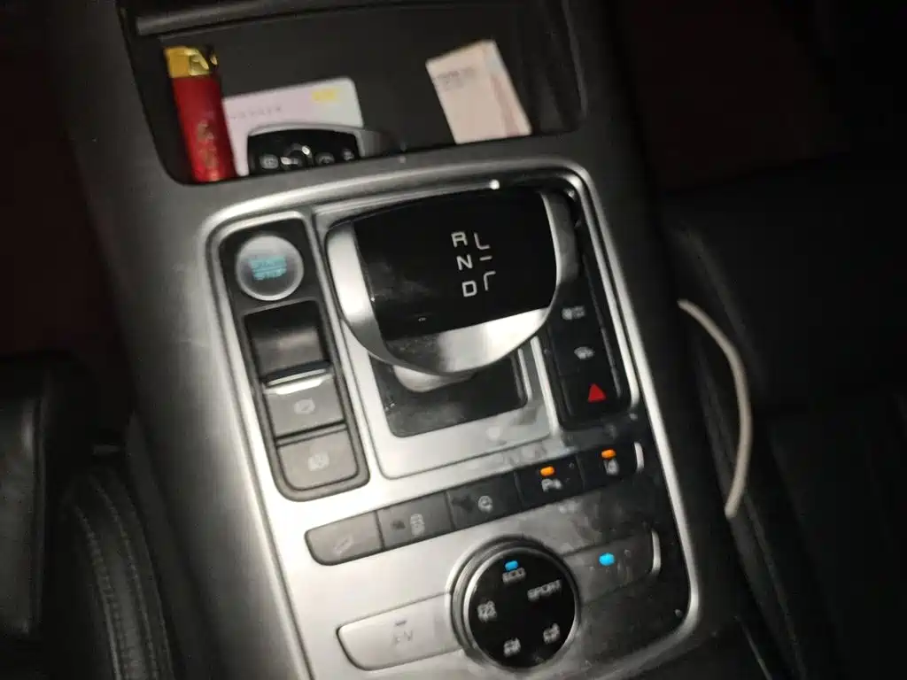 Denza X 2021 2020 Model PHEV Flagship Edition