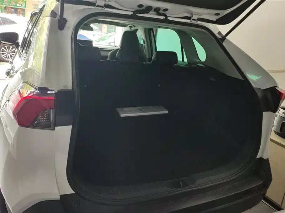 Toyota RAV4 Rongfang 2020 2.0L CVT AWD Trend Edition фото 4
