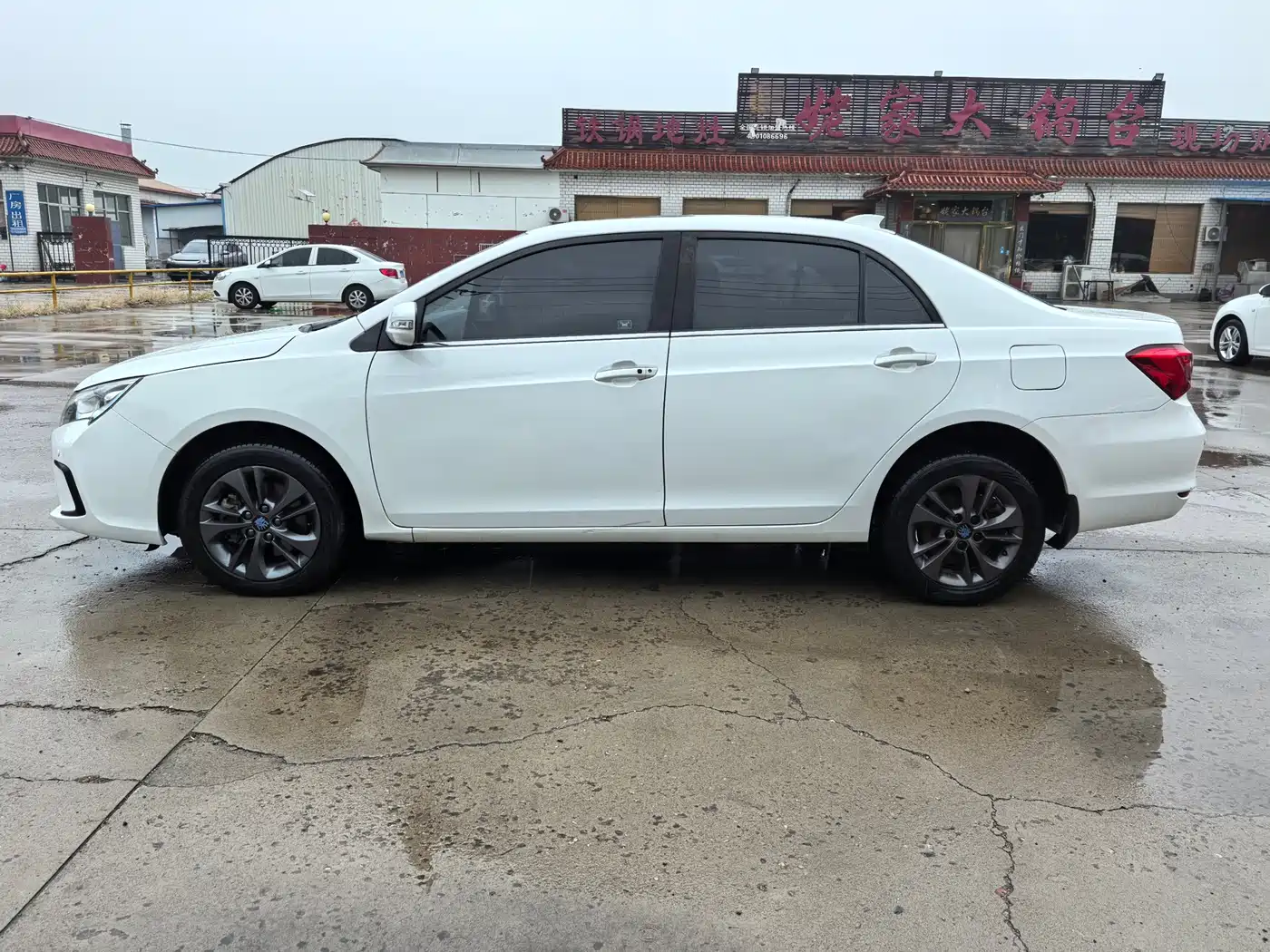 BYD Qin New Energy 2017 1.5T Premium Model фото 4