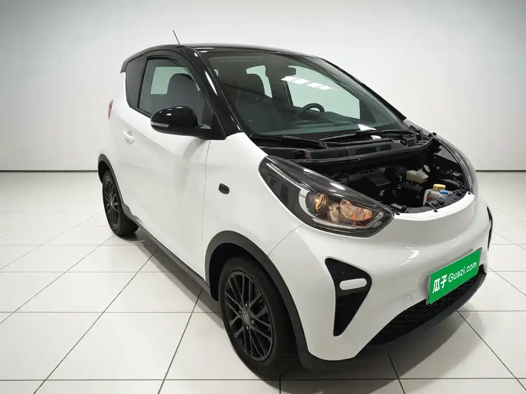 2024 QQ New Energy Little Ant