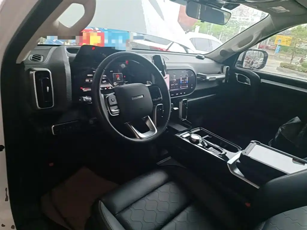 Haval Big Dog 2021 1.5T DCT 2WD Border Collie Edition фото 10