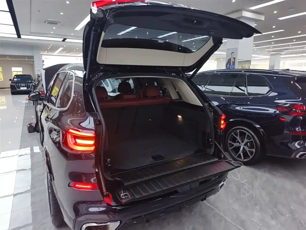 BMW X5 2022 Facelift xDrive 30Li Premium M Sport Package фото 19