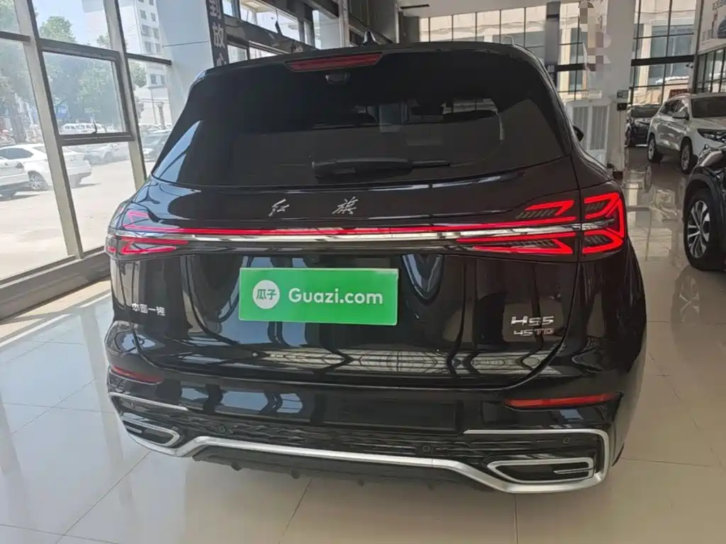 Фото 6 - Hongqi HS5