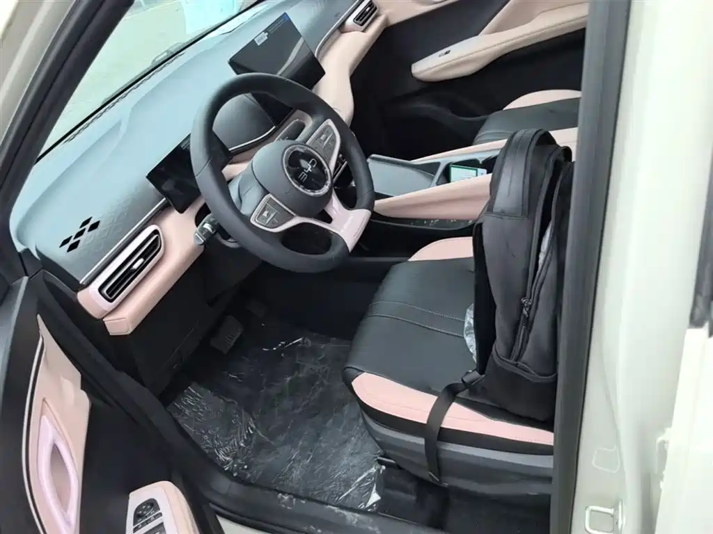 BYD Seagull 2025 Smart Drive Edition 305km Vitality Version фото 15
