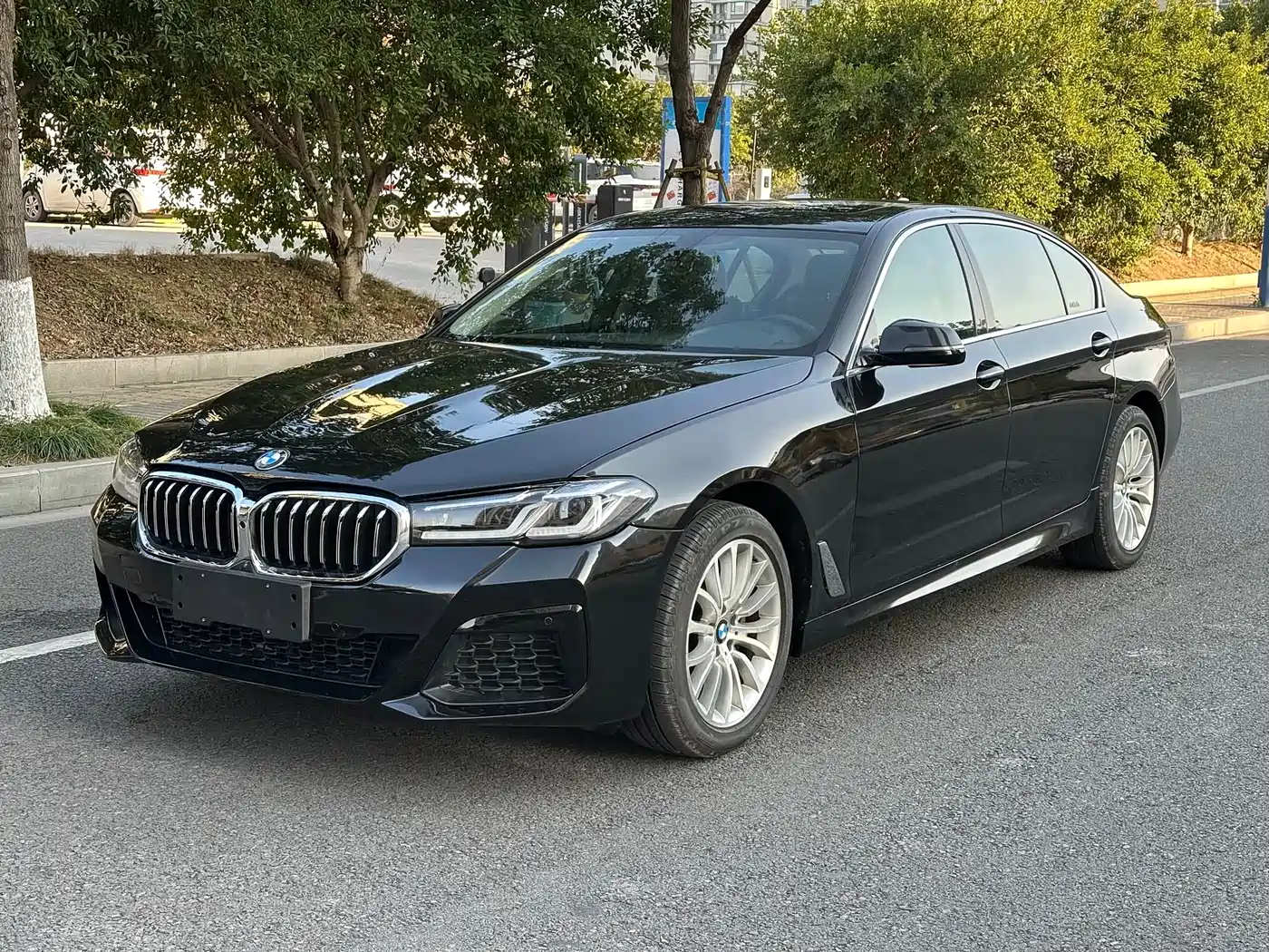 BMW 5 Series 2014 525Li Luxury Design Package