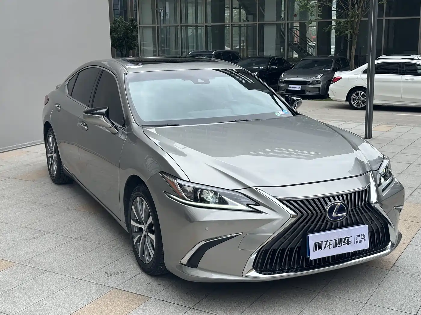 Lexus ES 2020 Model 300h Excellence Edition фото 4