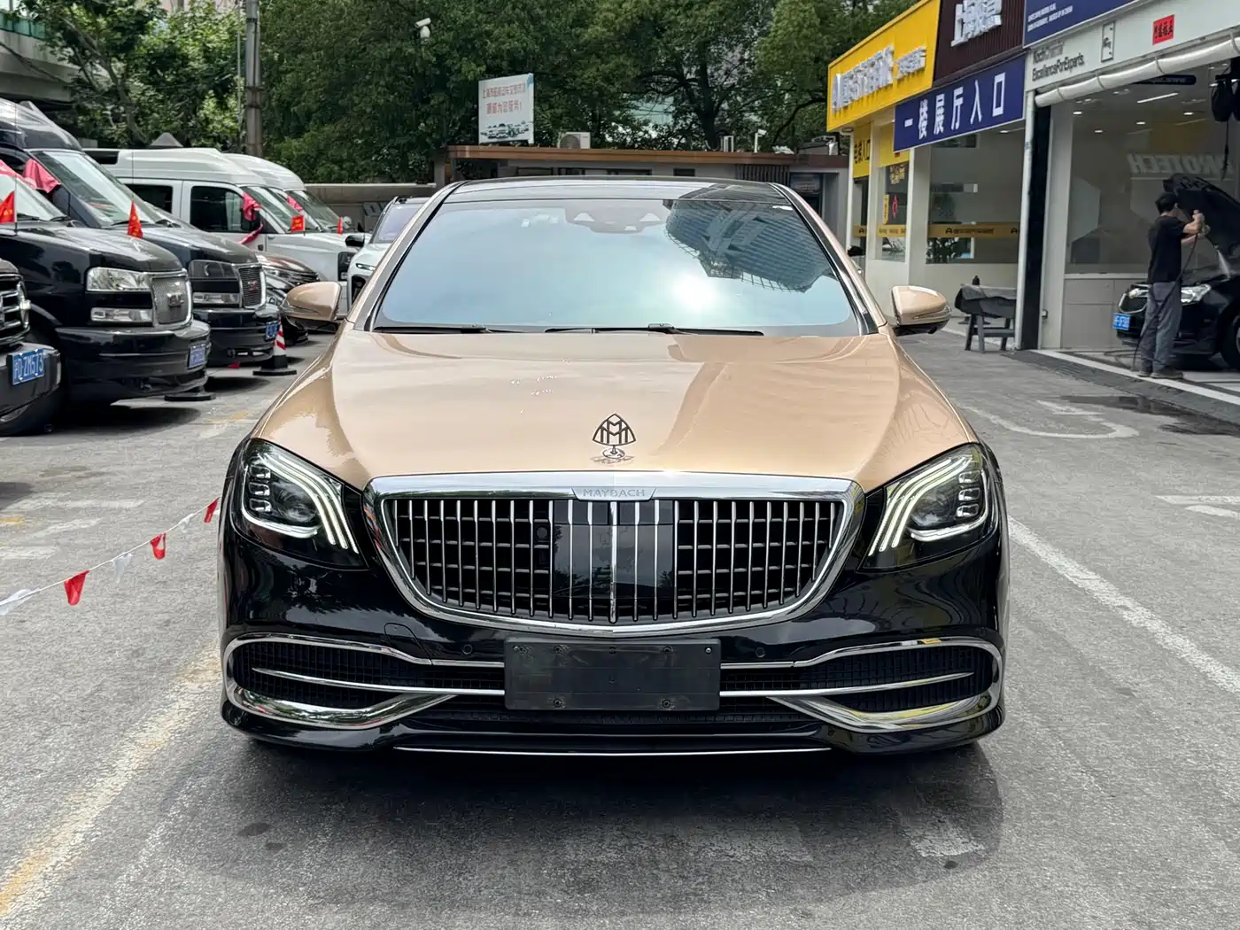 Mercedes-Benz Maybach S-Class 2018 S 560 4MATIC фото 2