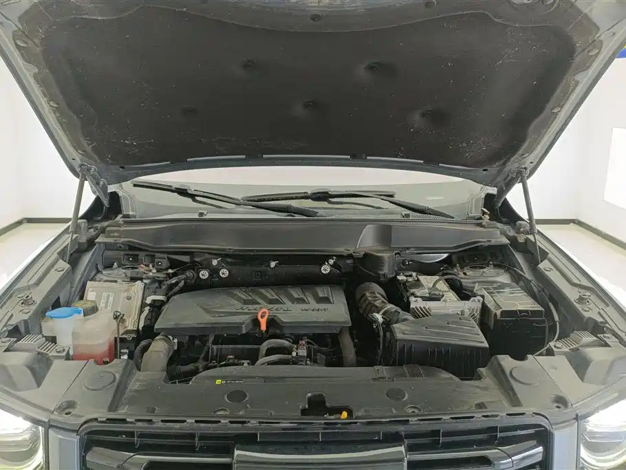 Haval Big Dog 2021 1.5T DCT 2WD Border Collie Edition фото 10