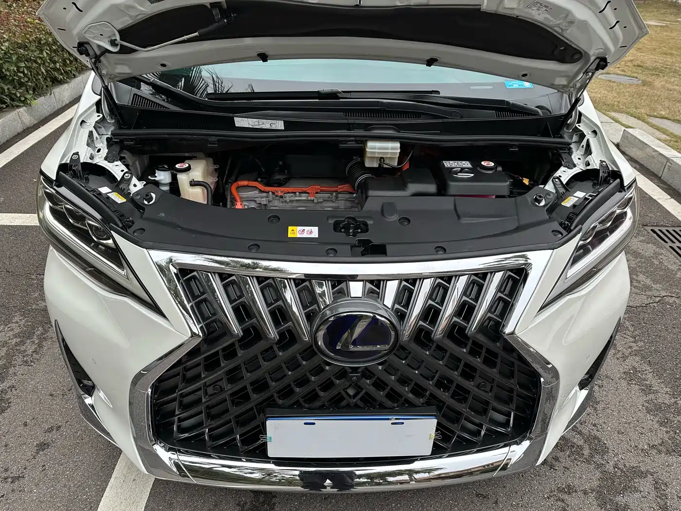 Lexus LM 2020 300h Seven-Seater Elegance Edition фото 15