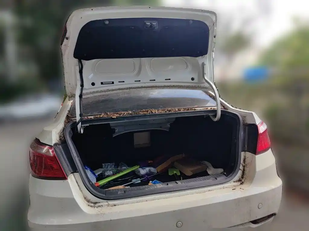 Фото 20 - Changan Eado