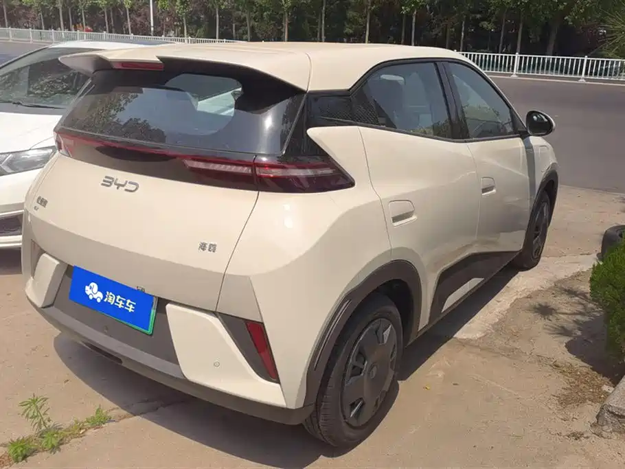 BYD Seagull 2025 Smart Drive Edition 305km Vitality Version фото 3