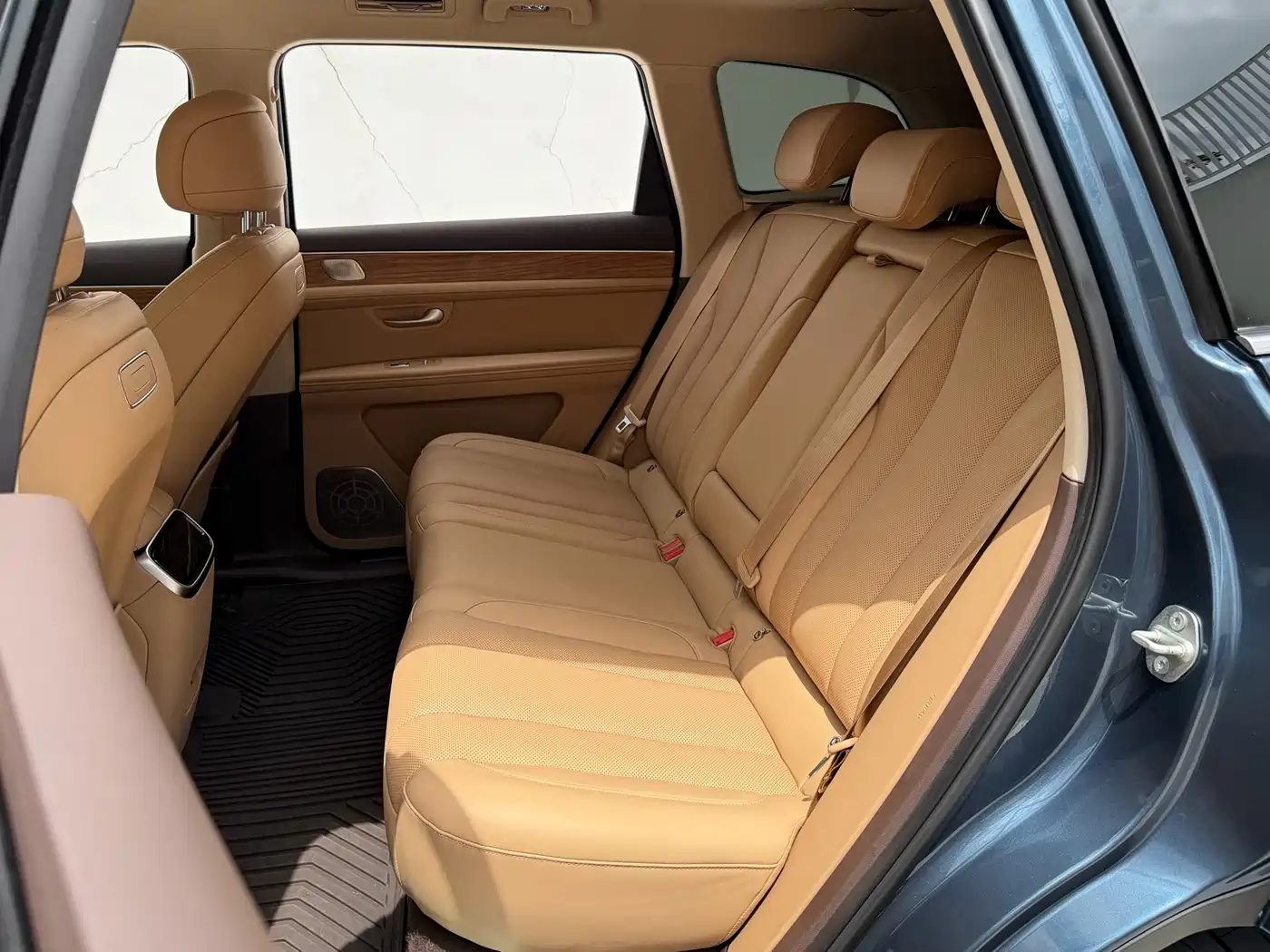 AITO Wenjie AITO M7 2024 1.5T Smart Drive 4WD Ultra 5-seater фото 11