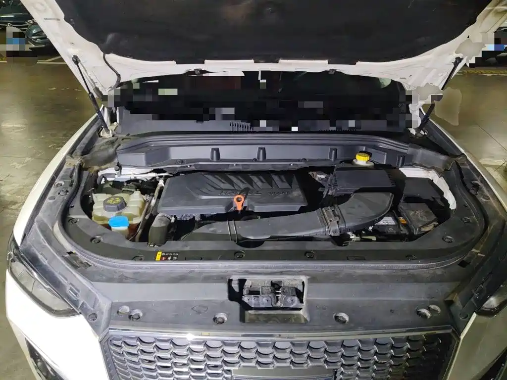 Haval F5 2020 2019 National Trend Edition 1.5T iTrend China VI