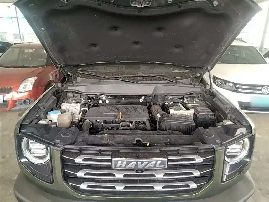 Haval Big Dog 2021 1.5T DCT 2WD Border Collie Edition фото 20