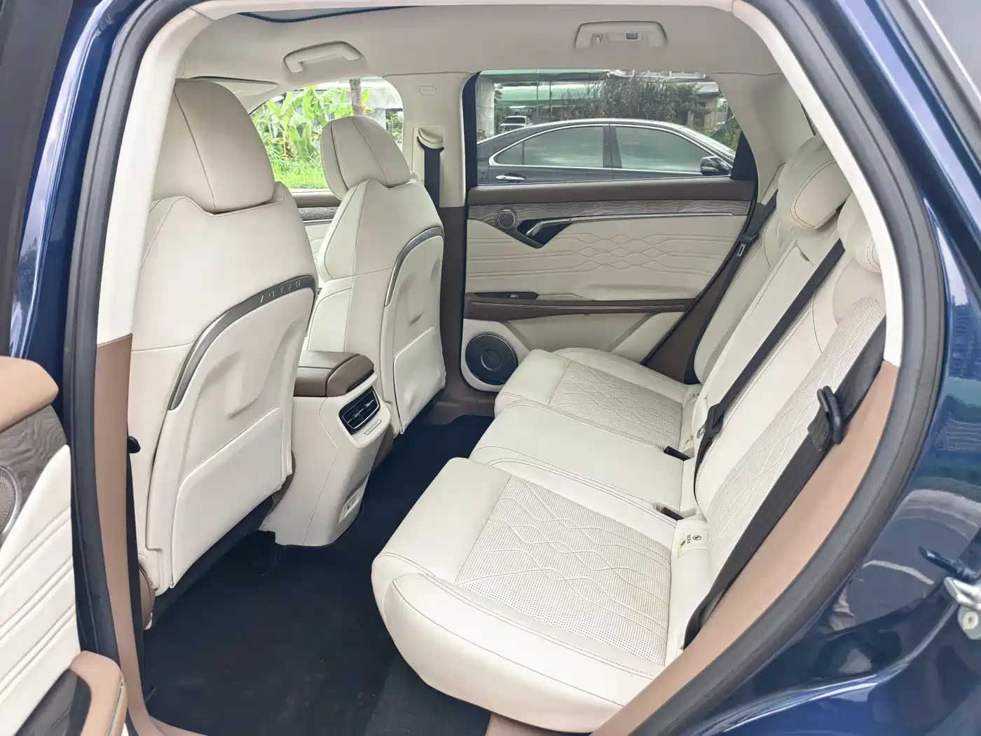 Voyah Auto VOYAH FREE 2021 AWD Standard Range Extender Exclusive Luxury Package фото 5