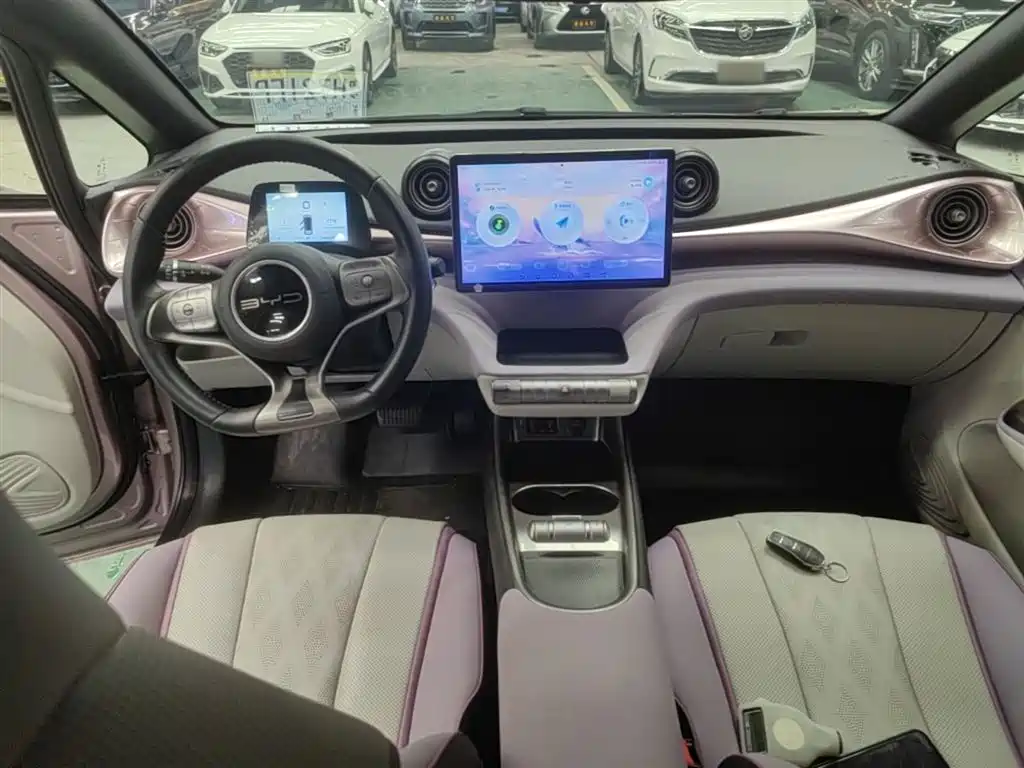 BYD Dolphin 2023 420km Freedom Edition фото 10