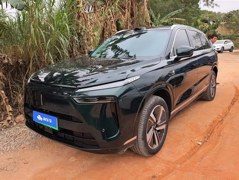 WEI PAI WEI BRAND BLUE MOUNTAIN