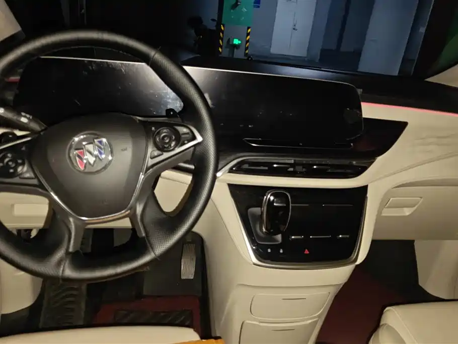 Buick GL8 2020 Avenir Seven-Seat Premium Edition фото 12