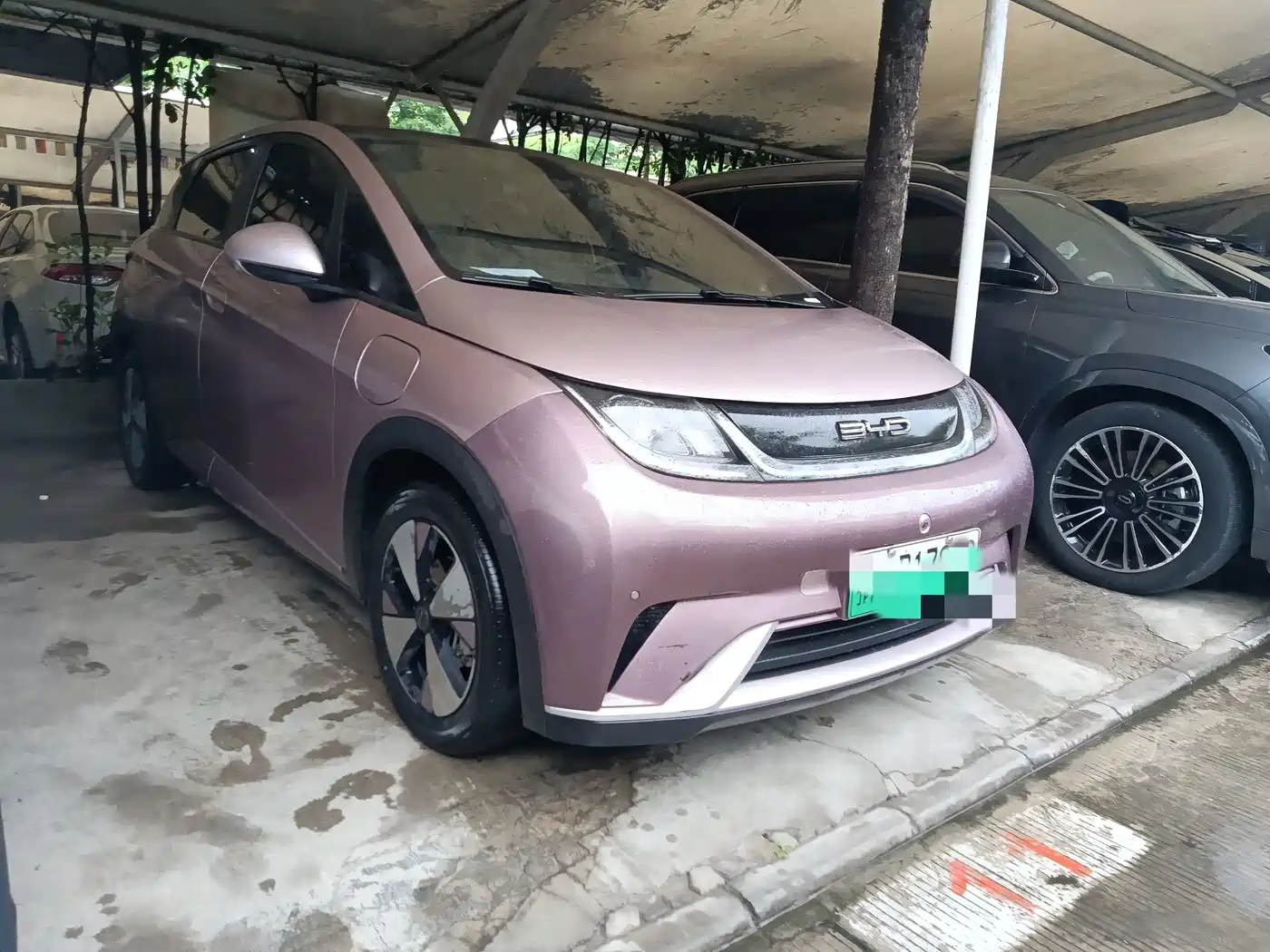 BYD Dolphin 2023 420km Fashion Edition фото 3