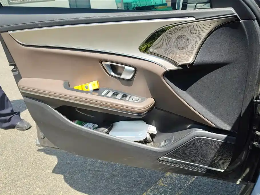 BYD Han 2021 EV Standard Range Luxury фото 7