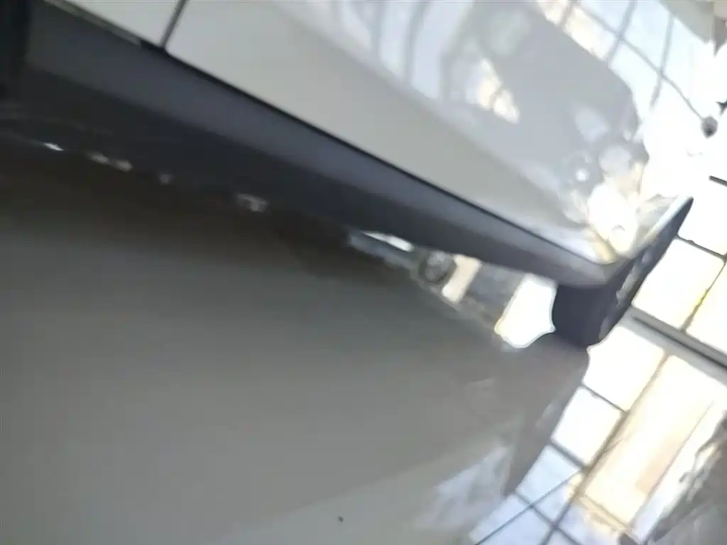 BYD Qin PLUS 2025 DM-i Smart Drive 55KM Leader фото 22