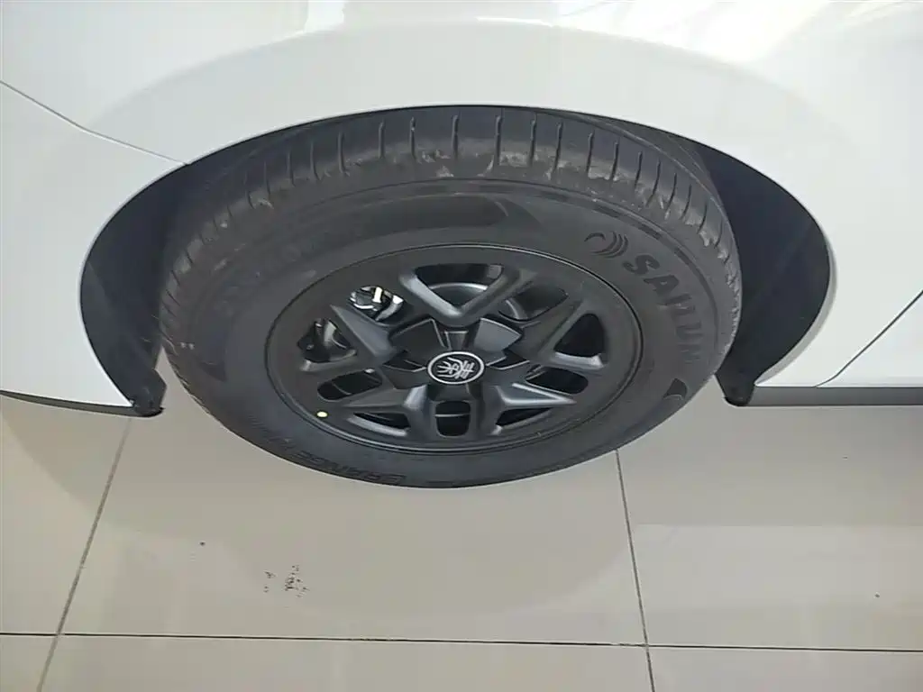 BYD Qin PLUS 2025 DM-i Smart Drive 55KM Leader фото 23