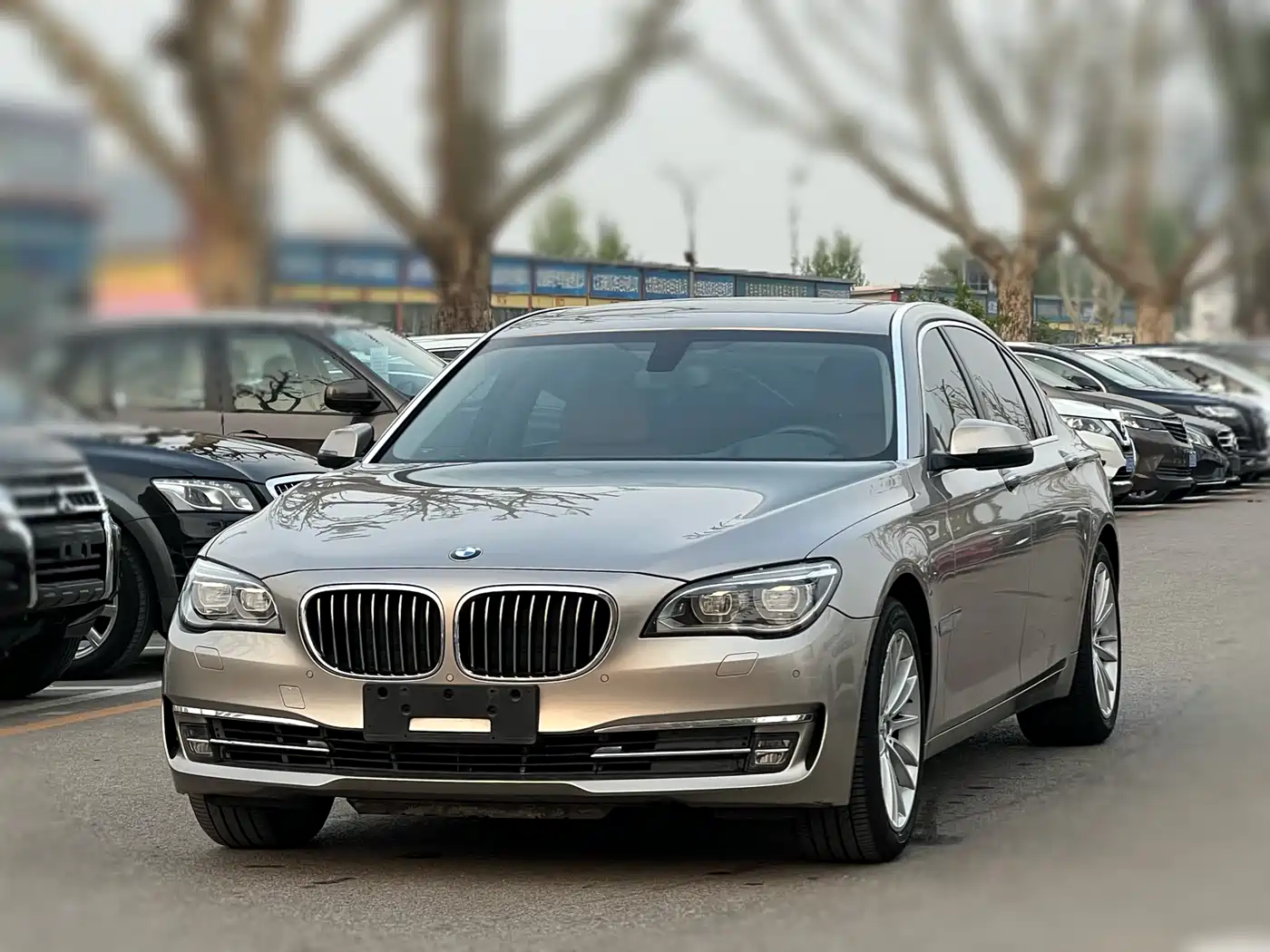 BMW 7 Series 2013 Model 740Li Leading