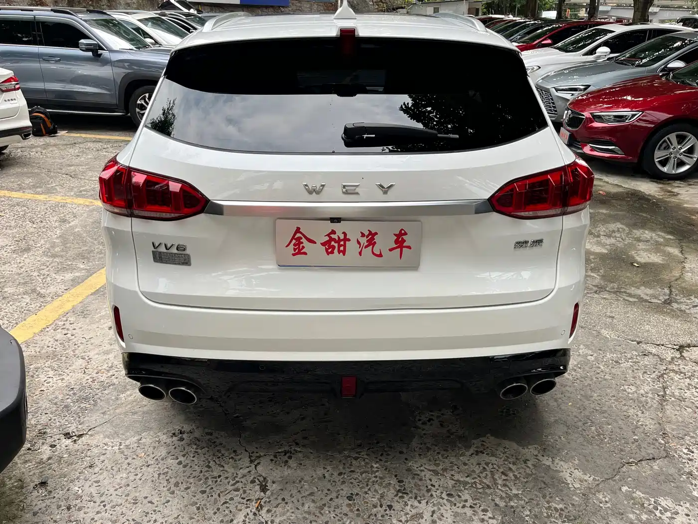 2021 WEY VV6