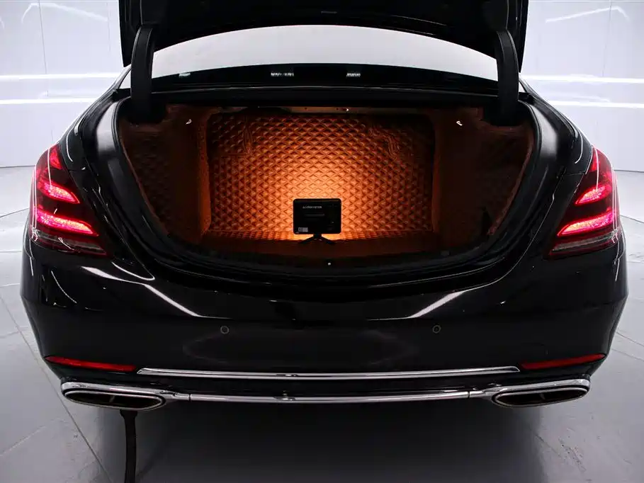 Mercedes-Benz Maybach S-Class 2020 S 450 4MATIC Collector's Edition фото 16