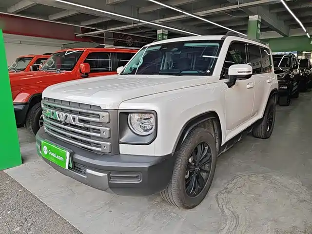  Haval Haval Meng Long NEV 2024 Hi4 145 Cross-country Edition