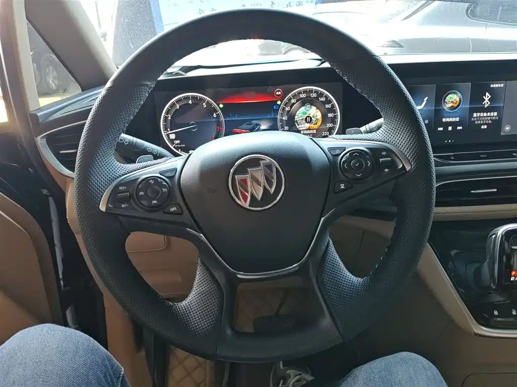 Buick GL8 2021 ES Landlord 653T Premium фото 11