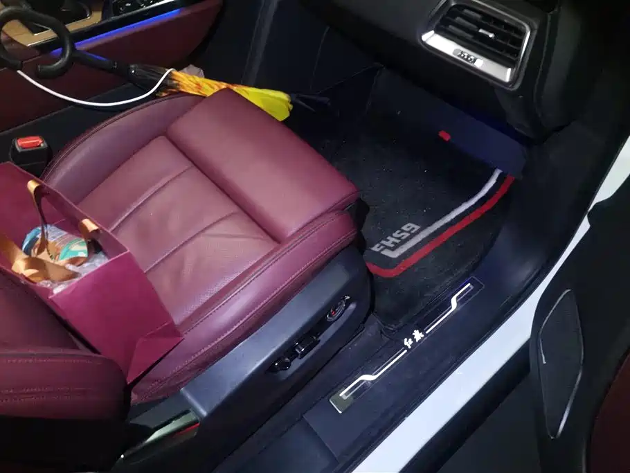 Hongqi E-HS9 2022 660km Qi Chang Edition (6-seater) фото 8