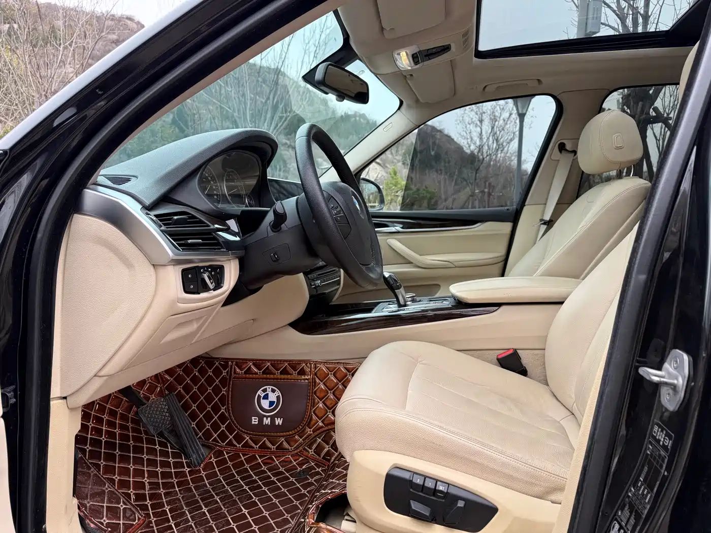 BMW X5 (Import) 2014 xDrive35i Leading фото 4