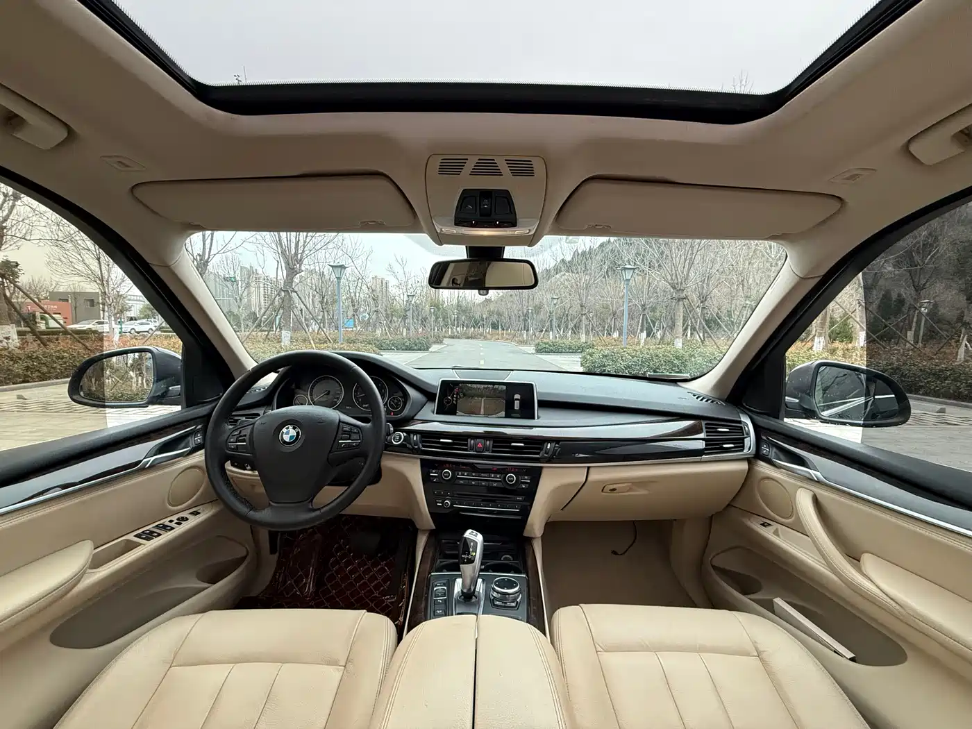 BMW X5 (Import) 2014 xDrive35i Leading фото 6
