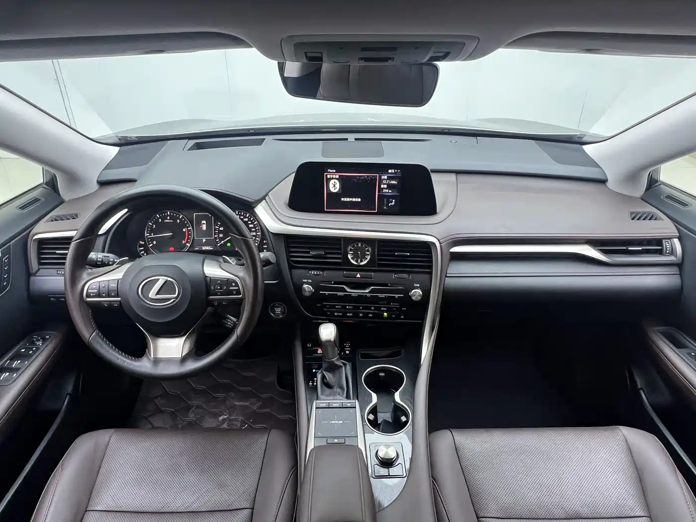 Lexus RX 2021 300 AWD Special Edition фото 14