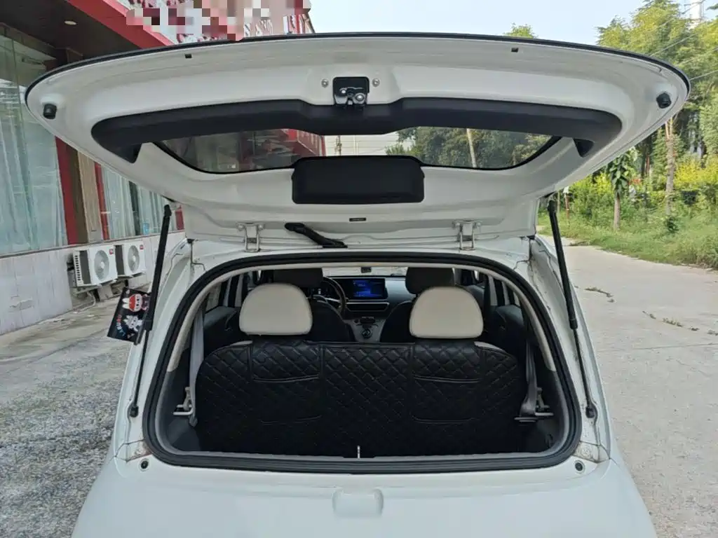 Ora White Cat 2021 2020 401km Flagship Model