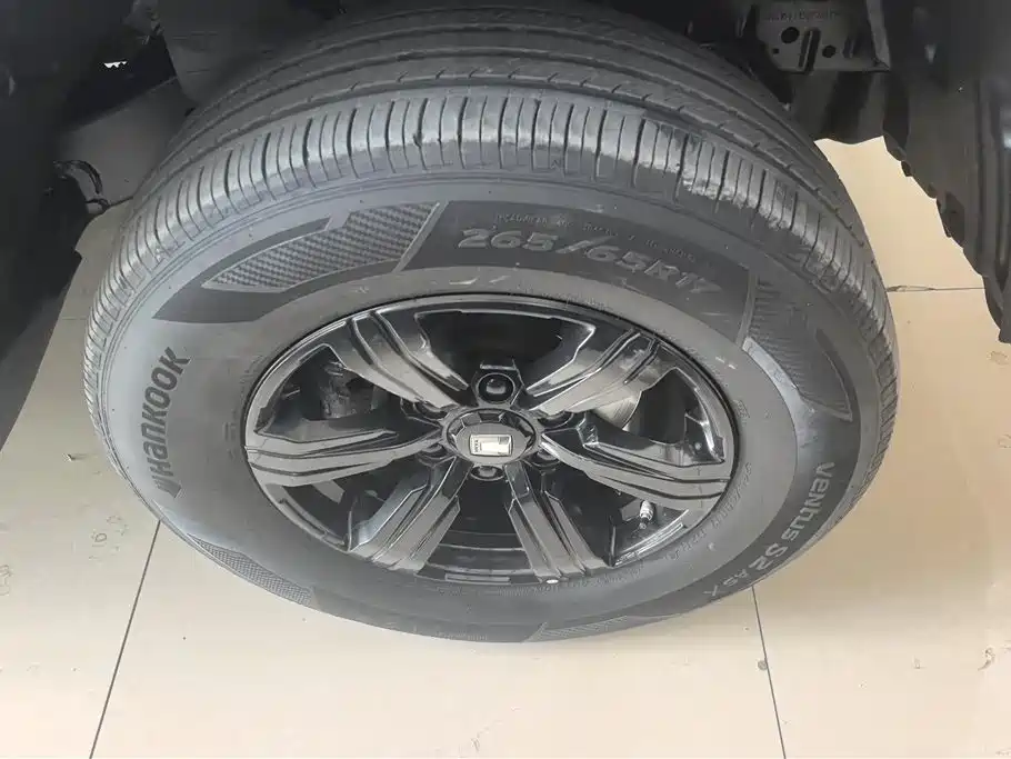 Tank 300 2023 Off-Road Edition 2.0T Conqueror фото 6