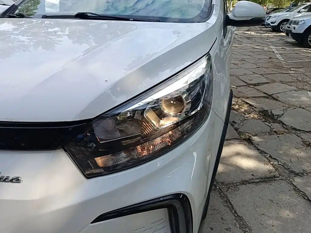 BAIC New Energy EC5 2020 2019 Fresh Air Edition