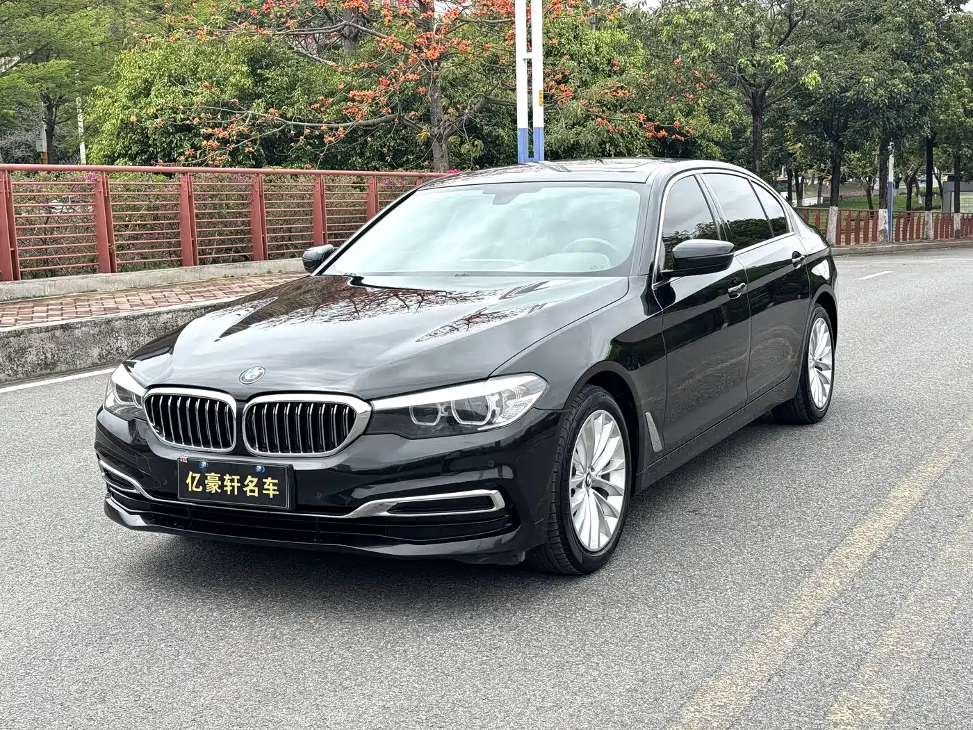 BMW 5 Series 2020 525Li Luxury Package