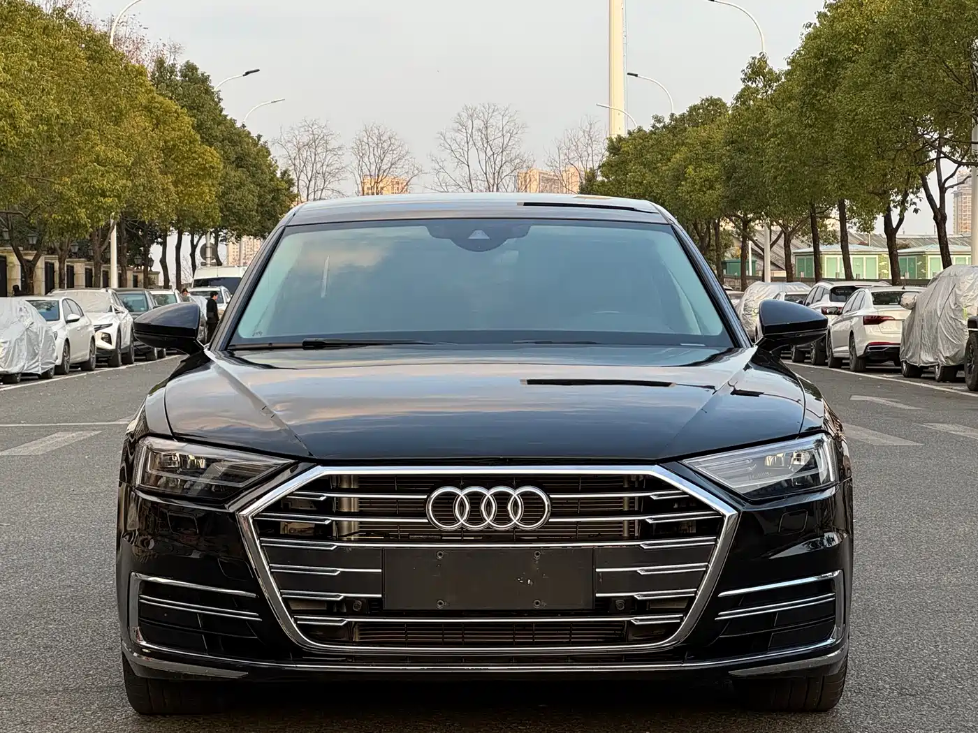 Audi A8 2022 A8L 50 TFSI quattro Comfort Collector's Edition фото 2